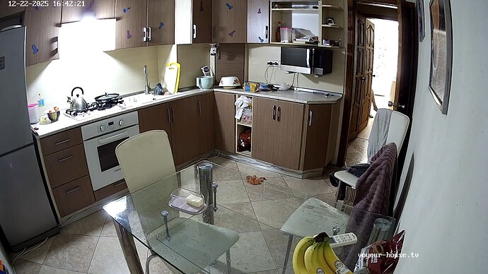 realm132-cam12-1766415022