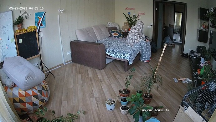 realm37-cam15-1716784287