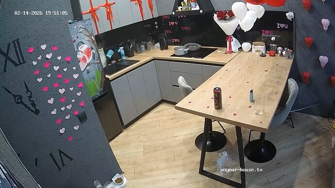 MerryAora-20260214-02-proof