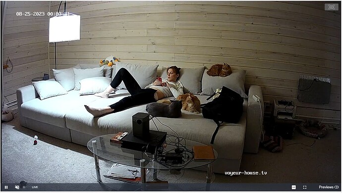 Screenshot_2023_08_24-27