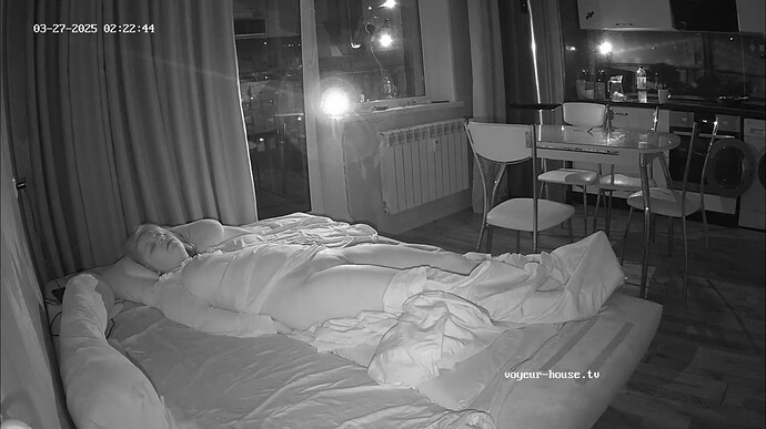 Ashampoo_Snap_jeudi 27 mars 2025_0h23m22s_001_Living room camera at Tea reallifecam apartment at Voyeur House TV (cam14) - Google Chrome
