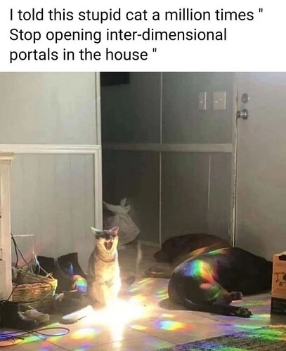 main-qimg-1e66d6fc5b37951239371979106ae7a3