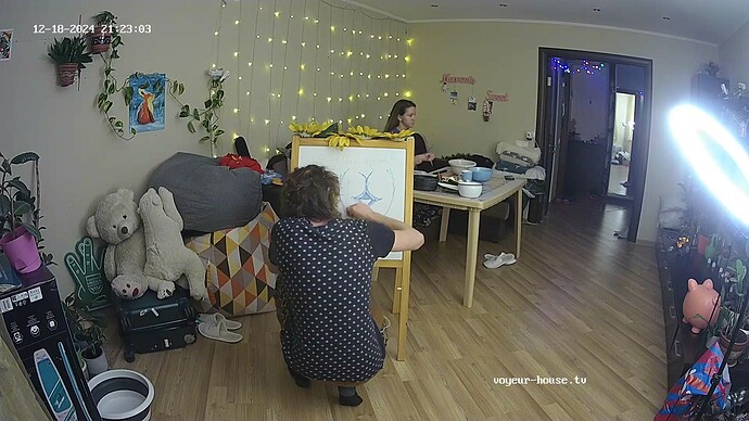 Living room camera at Ariela reallifecam apartment at Voyeur-102