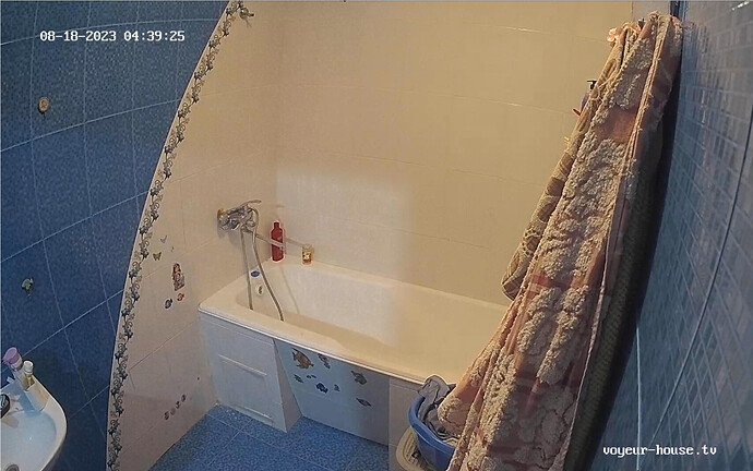 Screenshot 2023-08-17 at 17-42-03 Bathroom camera at Edrym & Roza reallifecam apartment at Voyeur House TV (cam19)