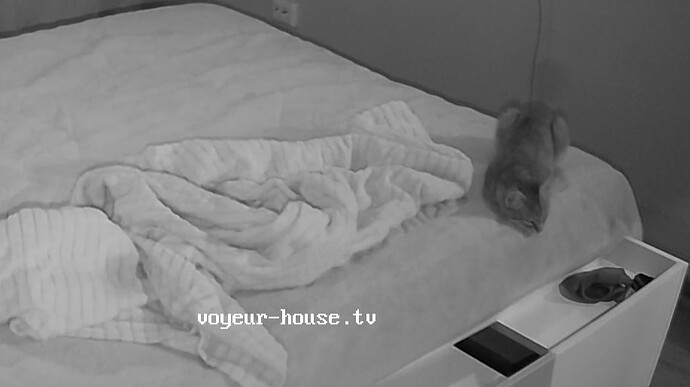 realm62-cam19-1759256132_2