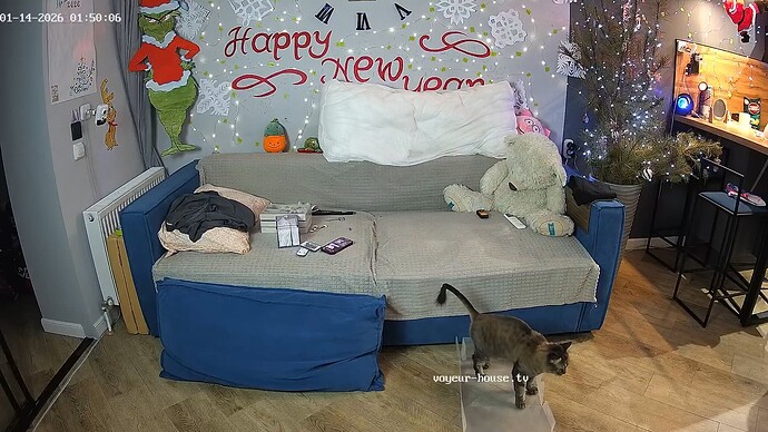 realm94-cam15-1768346471