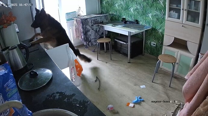 realm111-cam11-1761488032