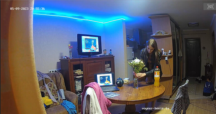 Screenshot 2023-05-10 at 09-52-46 Guest bedroom camera at Sophia Elon Claudia reallifecam apartment at Voyeur House TV (cam110)