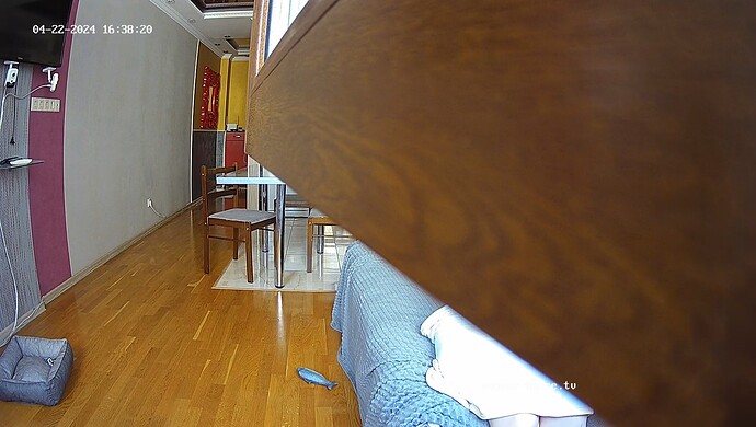 realm22-cam14-1713785934