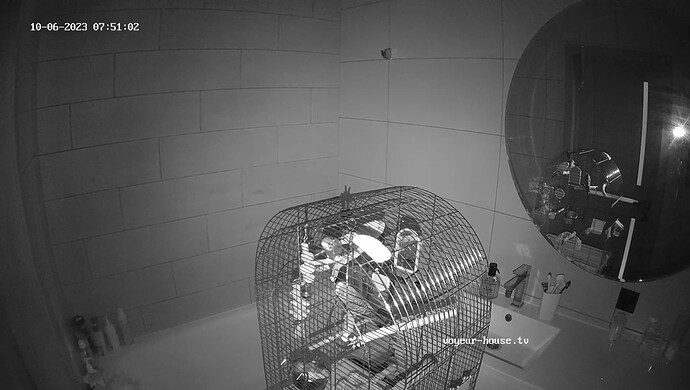 realm8-cam19-1696620618