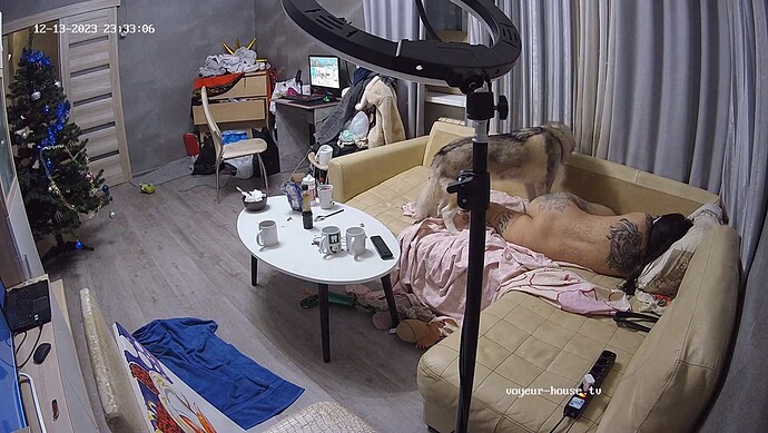 realm62-cam13-1702499626