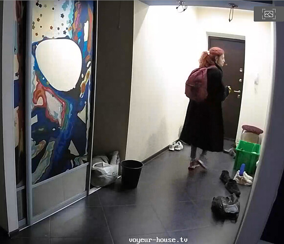 Screenshot 2023-08-19 at 01-38-50 Bedroom camera at Henry reallifecam apartment at Voyeur House TV (cam18)