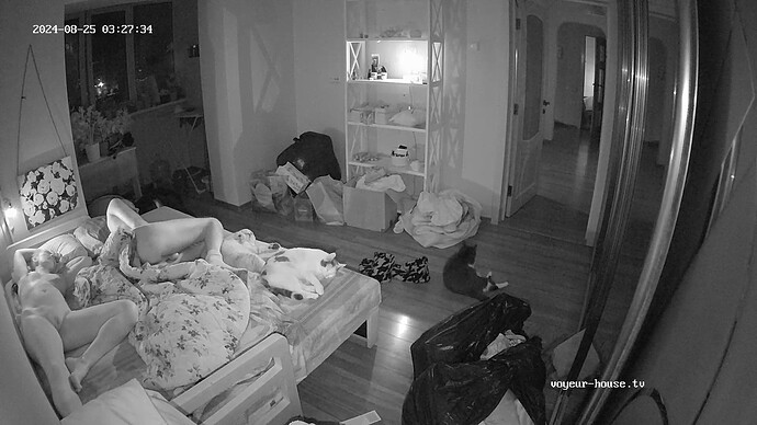 realm34-cam16-1724546555