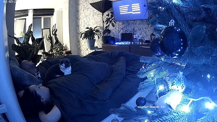 realm35-cam15-1767482311