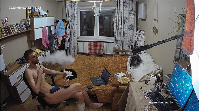 Screenshot 2023-08-02 at 16-51-56 Living room camera at Mustafa reallifecam apartment at Voyeur House TV (cam13)
