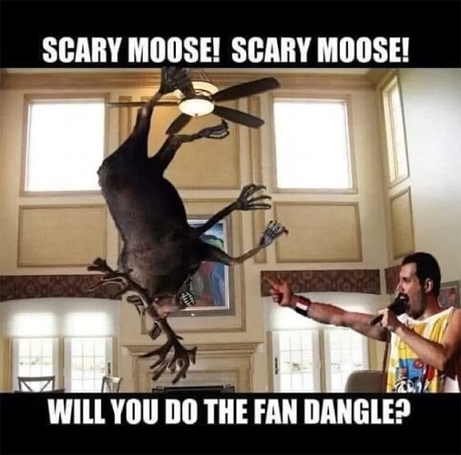Scary Moose