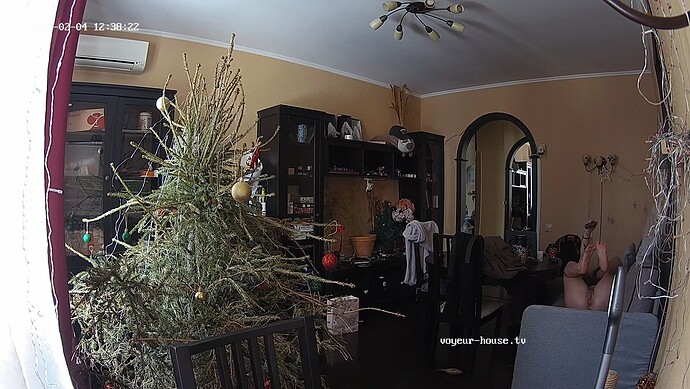 realm7-cam14-1770213014