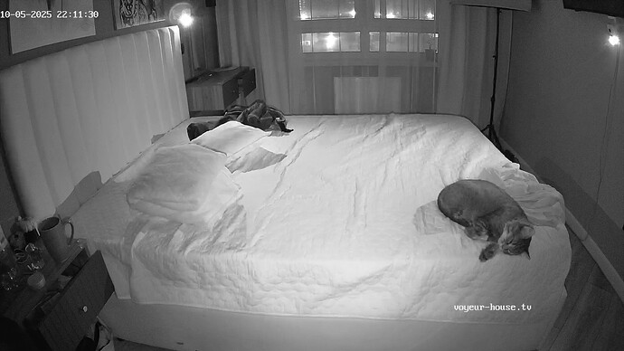 realm94-cam18-1759691522