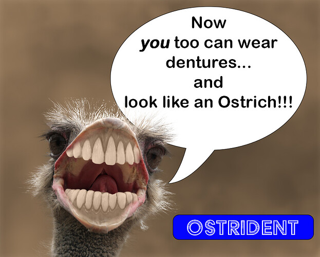Funny Ostrich_composite