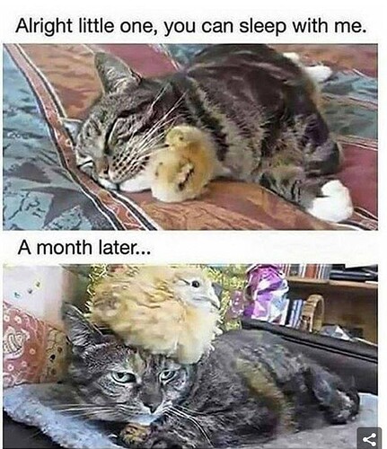 main-qimg-4a101687f4ea6754d66db6f016103668