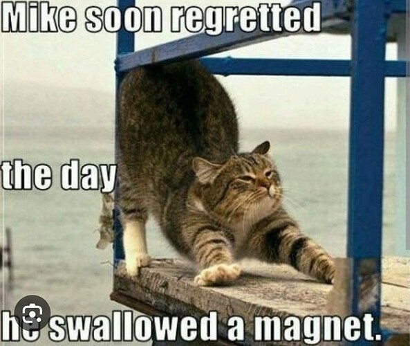 main-qimg-bab4720958b3ffaf5ae89c36e515f1c0