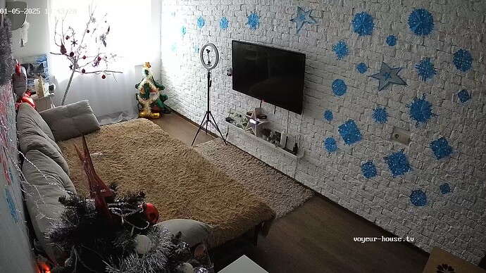 realm66-cam13-1736073839