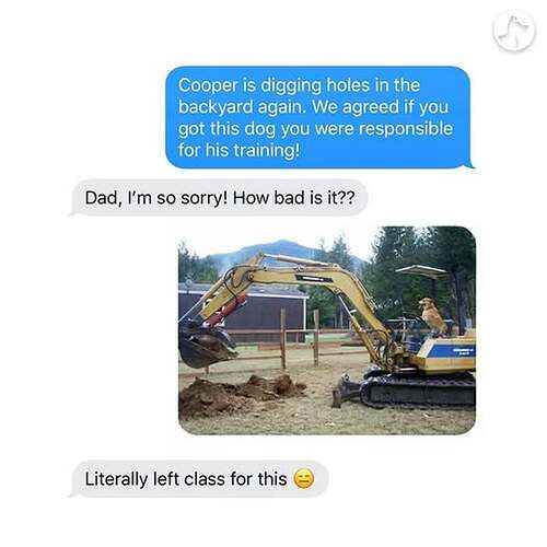 547521976_23943937131951843_7160010058962239138_n