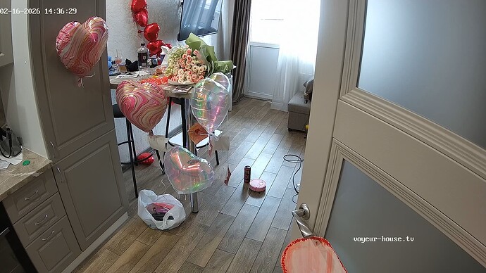 realm5-cam13-1771247059