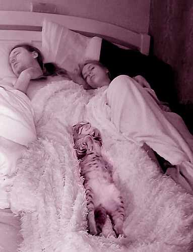 bandicam 2024-03-29 08-32-04-851