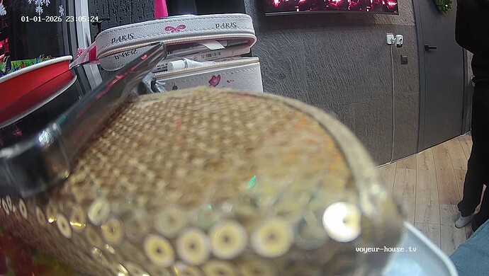 realm108-cam15-1767297960