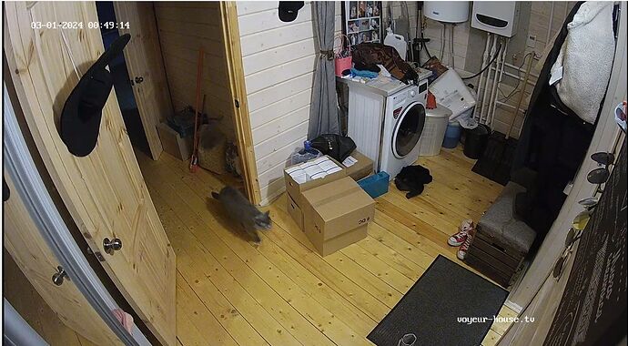 Screenshot_2024_03_01-4