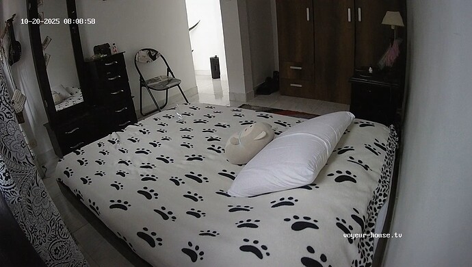 realm121-cam18-1760965775