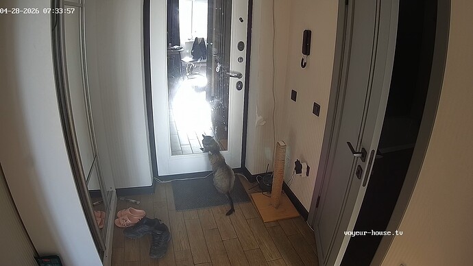 realm42-cam110-1777350874