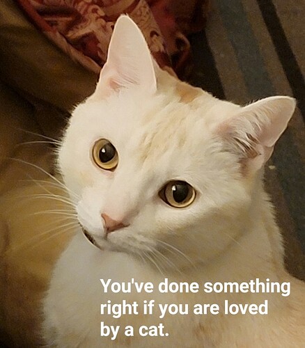 main-qimg-2f7c7c3bc640ed4242bd314c2e31ff2a