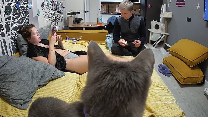 realm56-cam15-1759429275