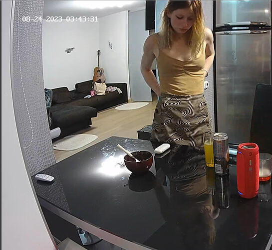 Screenshot 2023-08-23 at 22-38-30 Bathroom camera at Ceres reallifecam apartment at Voyeur House TV (cam19)