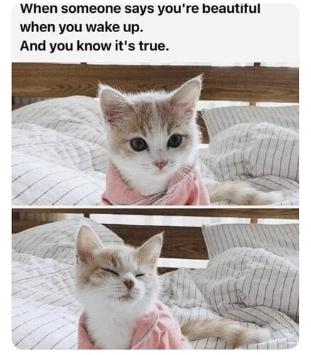 main-qimg-cb3abb60df85d94ecdecb606b0ee5463