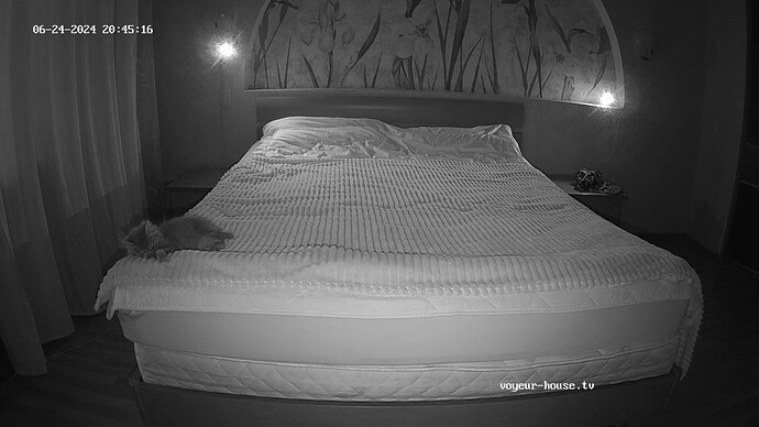 realm69-cam16-1719249234