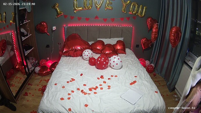 realm135-cam17-1771187162