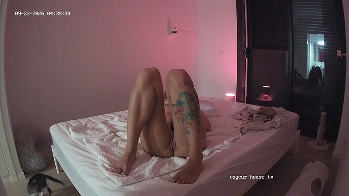 realm168-cam114-1790142751