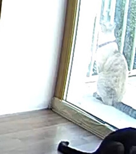 did someone get out closer