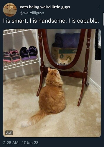 main-qimg-ca31afa44c58d1f9a9f3123013391d0e