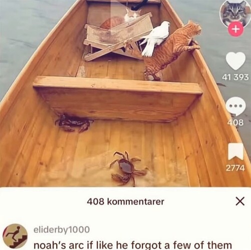 Noah's Ark
