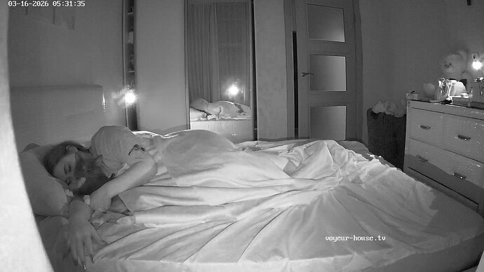 realm5-cam16-1773629998