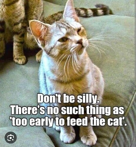 main-qimg-76cefb67483f201e807206b7030b4ff8