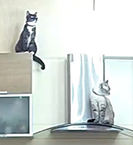 The higher position closer view