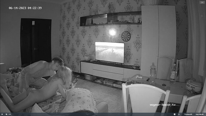 Ashampoo_Snap_mardi 13 juin 2023_23h23m10s_005_Living room camera at Edrym & Roza reallifecam apartment at Voyeur House TV (cam13) - Google Chrome