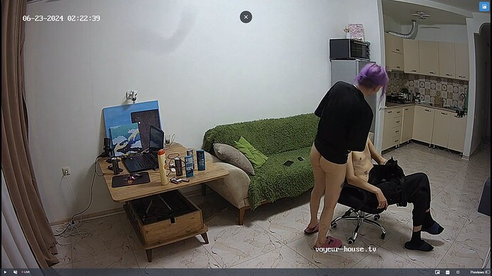 Ashampoo_Snap_dimanche 23 juin 2024_0h22m52s_004_Living room camera at Inira & Unuk reallifecam apartment at Voyeur House TV (cam13) - Google Chrome