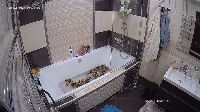 realm42-cam110-1693700113