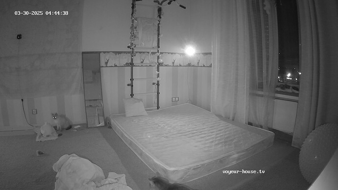 realm55-cam17-1743288309